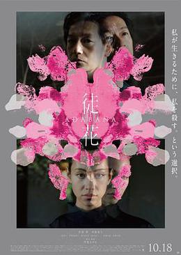 谎花