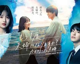 要再做一次夫妇吗？～伪装夫妇～