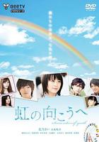 彩虹的对面