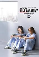 实习医生格蕾 第八季