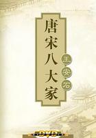 百家讲坛—唐宋八大家之王安石