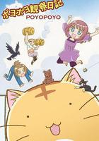 嘟嘟猫观察日记