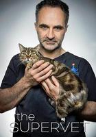 超级兽医 第一季