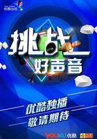 挑战好声音