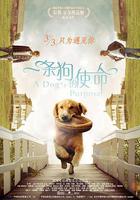 一条狗的使命