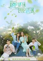 美丽爱情完美人生