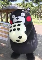 与熊本熊的熊本相遇之旅