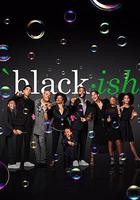 喜新不厌旧 第六季