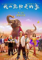 我的宠物是大象