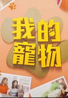 我的宠物