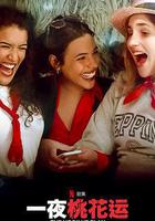 一夜桃花运 第二季