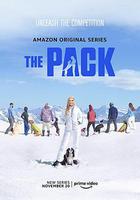 爱宠结伴大冒险