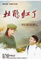 杜鹃红了