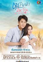 直到天空迎来太阳