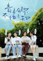 探索青年飞鸟记