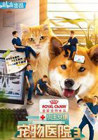 小主安康-宠物医院3