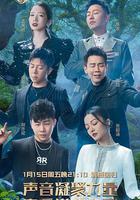 天赐的声音 第二季