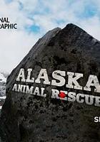 阿拉斯加野生动物救援 第二季