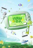 闪亮的日子 第三季