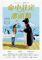 命中注定那头鹅