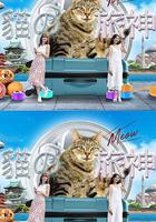猫之旅神