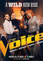 美国之声 第二十三季