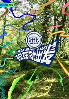 现在就出发 第一季