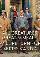 万物生灵 第四季