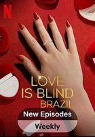 爱情盲选：巴西篇 第四季