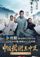 中国武术王中王