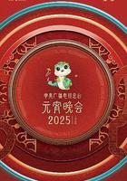 中央广播电视总台2025年元宵晚会