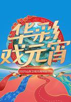 2025山东卫视元宵特别节目