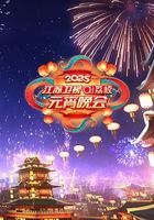 2025江苏卫视ai荔枝元宵晚会