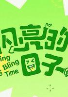 闪亮的日子 第五季