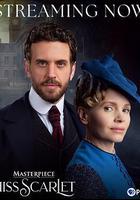 斯嘉丽小姐探案集 第六季