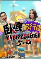 卧底旅行团5.0