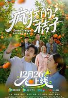 疯狂的桔子