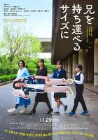 把哥哥变成可以携带的尺寸