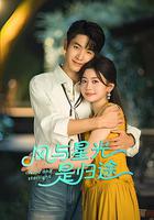 风与星光是归途