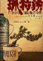 抓特务