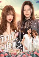 四大元素之大地情缘