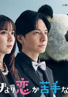 比熊猫更不擅长恋爱的我们