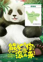 熊猫与你，滚滚而来！
