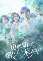 没有砍十次还不倒的树